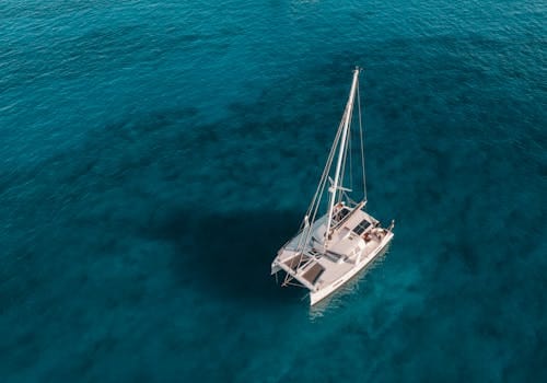 Palma Bay-kryssning med lunch